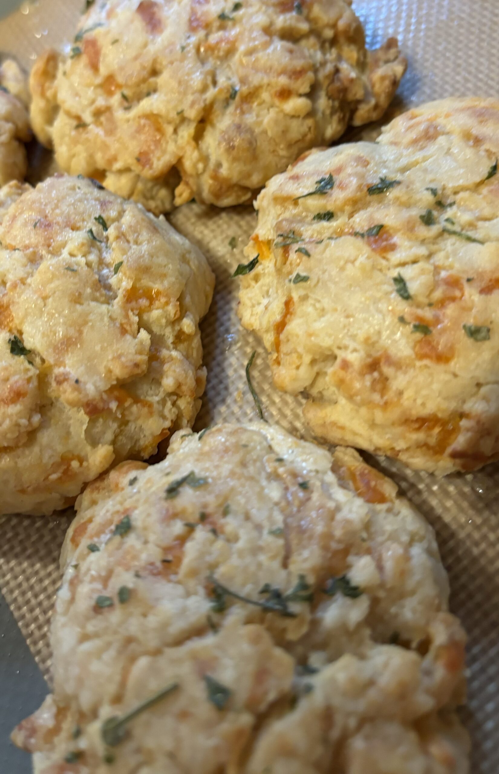 Easy Sourdough Discard Cheddar Biscuits