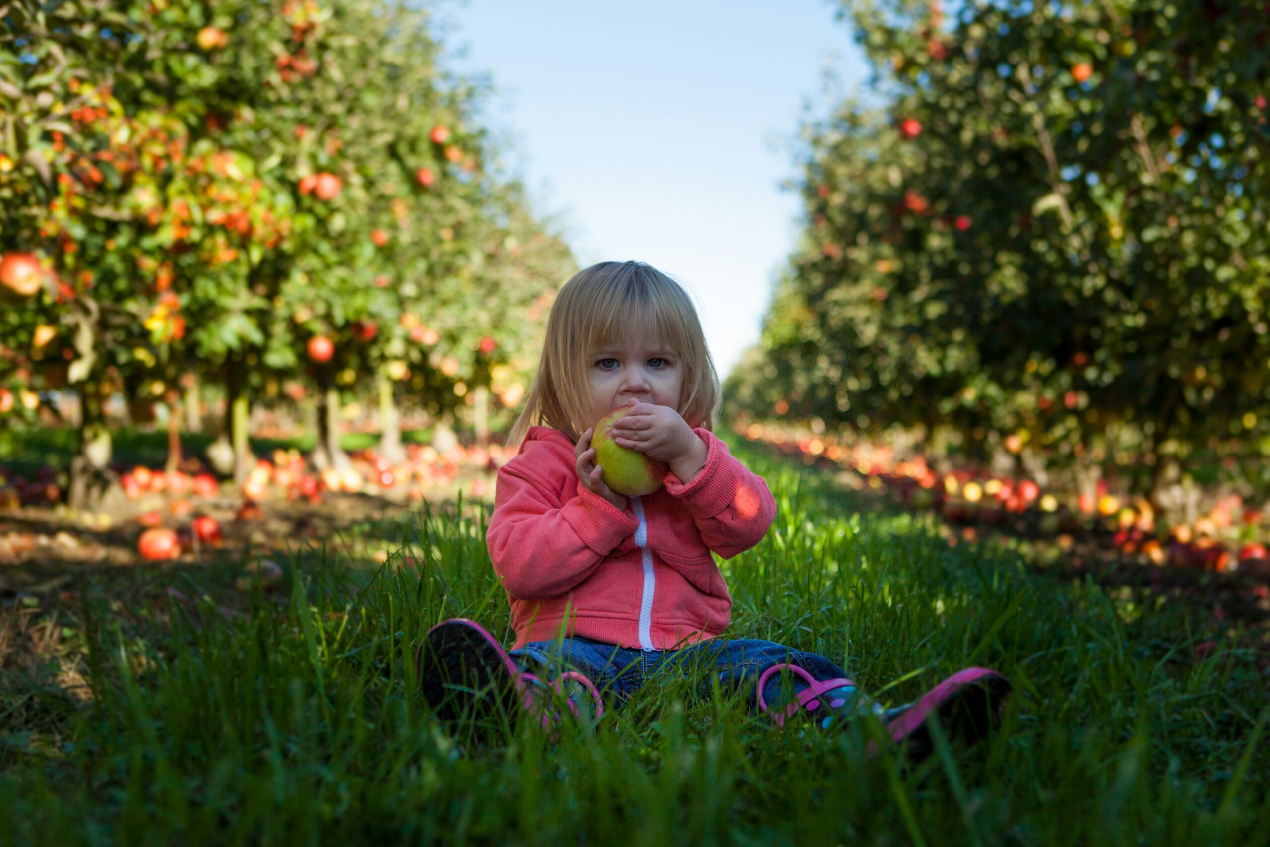 How to Encourage Healthy Eating Habits in Children: 8 Helpful Tips